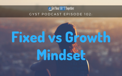102: Fixed Mindset Vs Growth Mindset